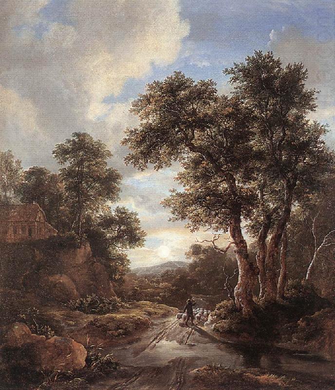 Jacob van Ruisdael Sunrise in a Wood china oil painting image